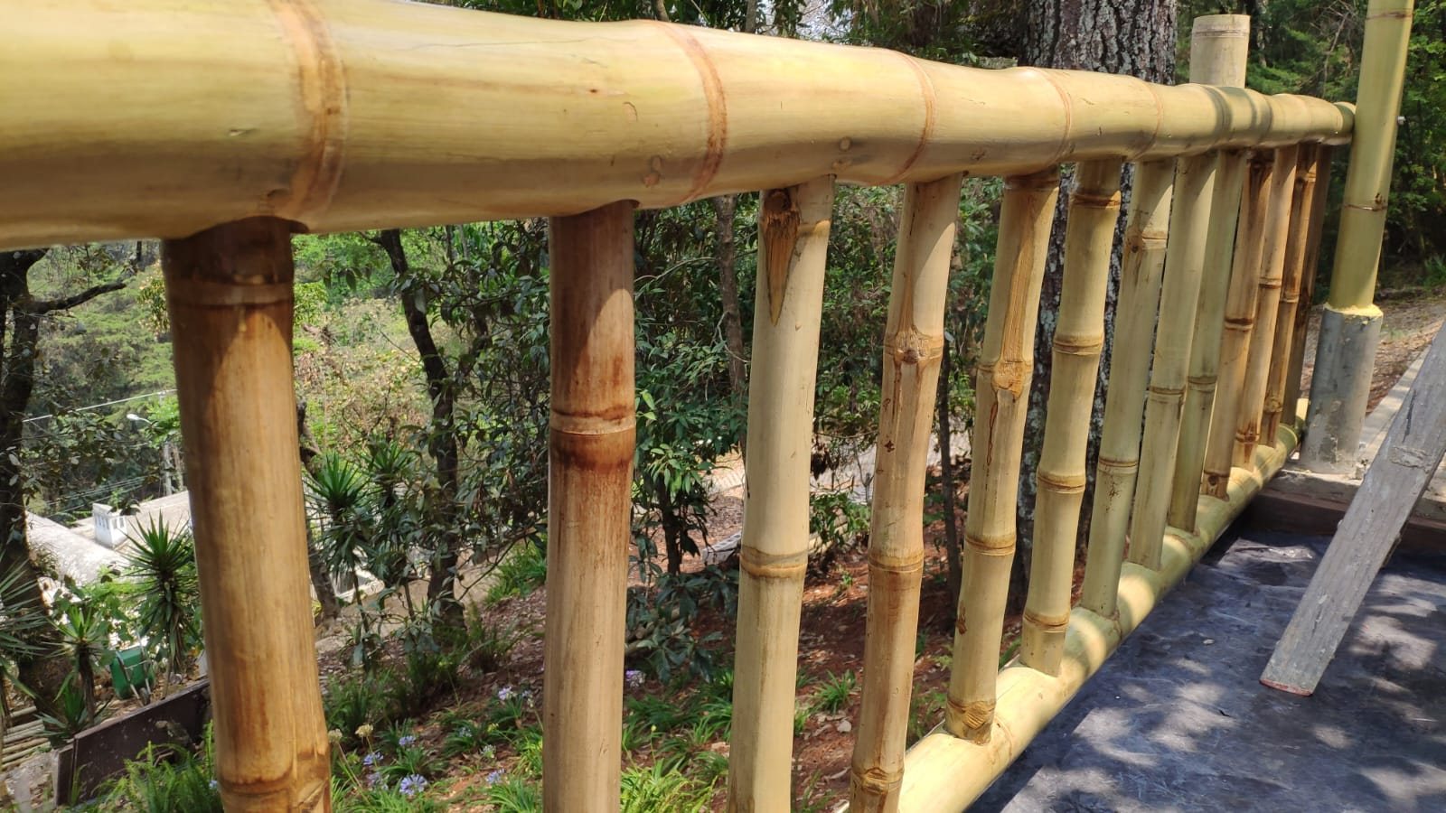 Baranda de bambú frente a un bosque de pinos